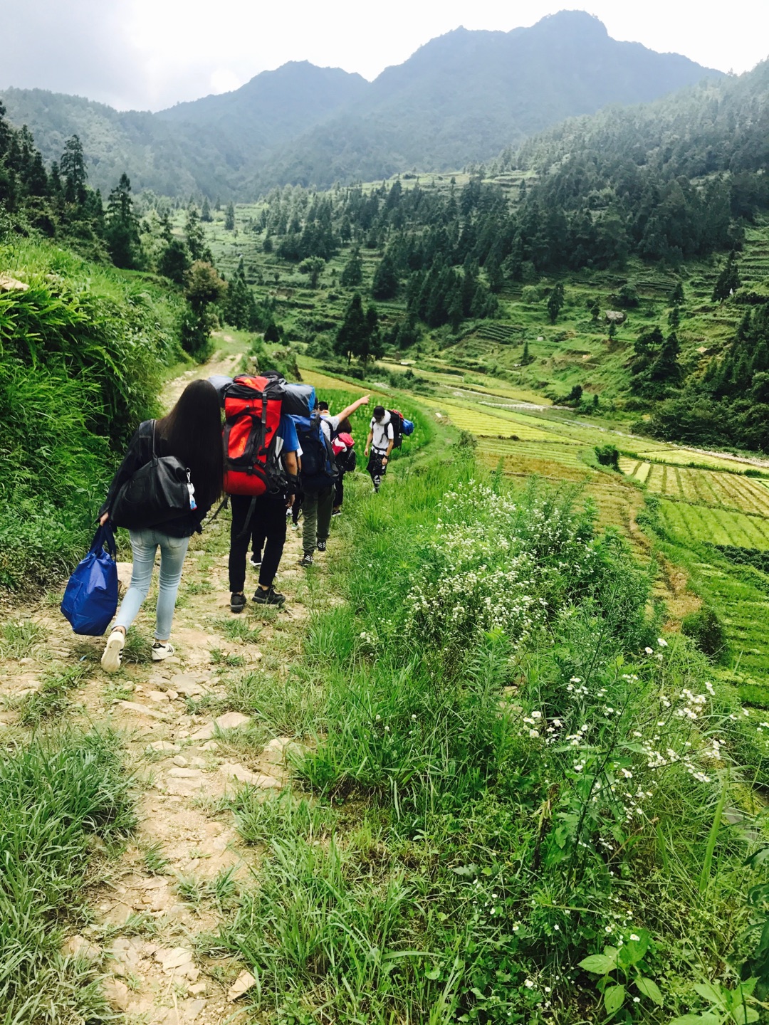 1608861738333543.jpg 羽翼未豐盼望飛 展翅翱翔惦記歸.jpg